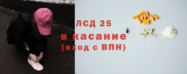 стаф Абаза