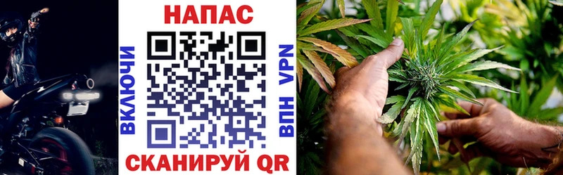 где продают наркотики  Ак-Довурак  Бошки марихуана план 